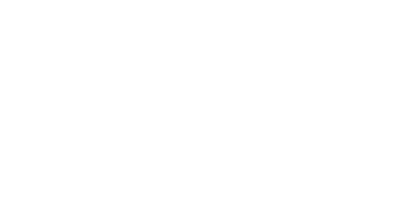 ChronoFake